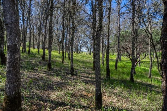 1001 Louis Way, Lakeport, CA 95453