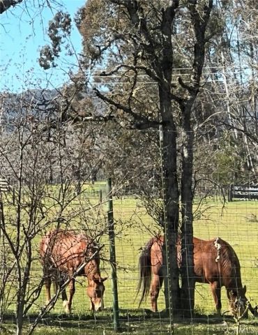 1001 Louis Way, Lakeport, CA 95453