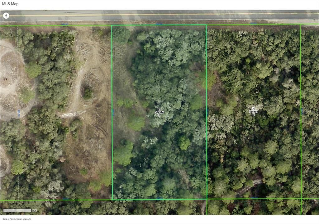 34196 CORNERSTONE DRIVE, Webster, FL 33597