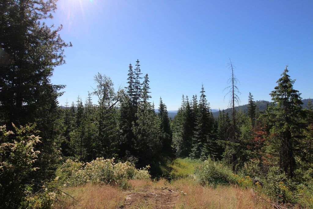 XXX Buck Creek Rd, Newport, WA 99156 photo 12