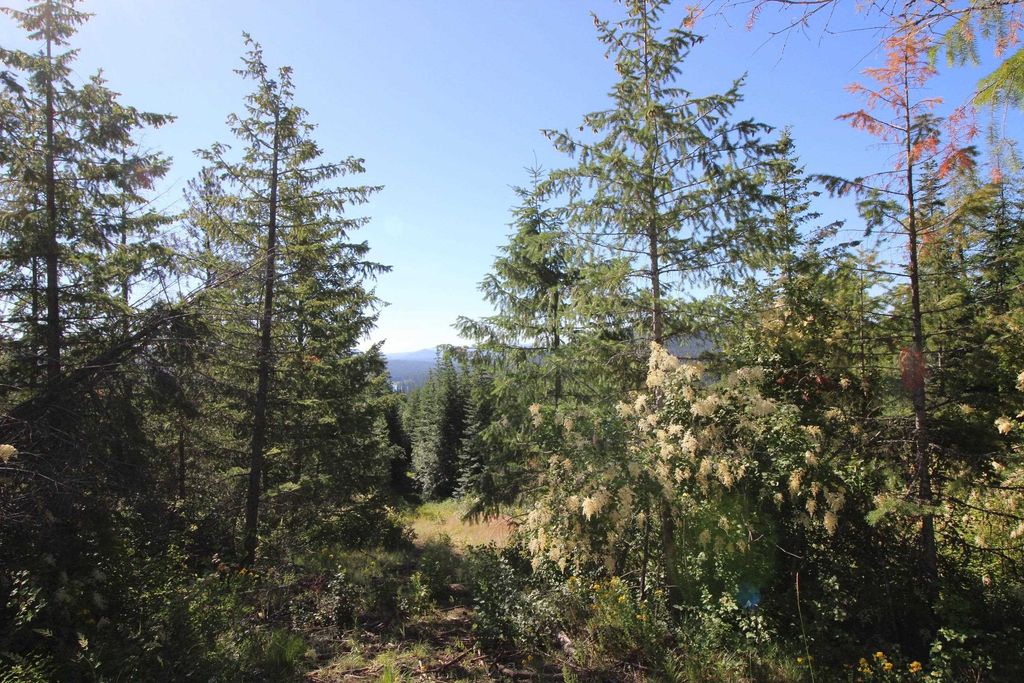 XXX Buck Creek Rd, Newport, WA 99156 photo 13