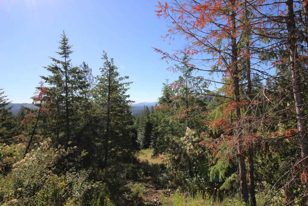 XXX Buck Creek Rd, Newport, WA 99156 photo 14