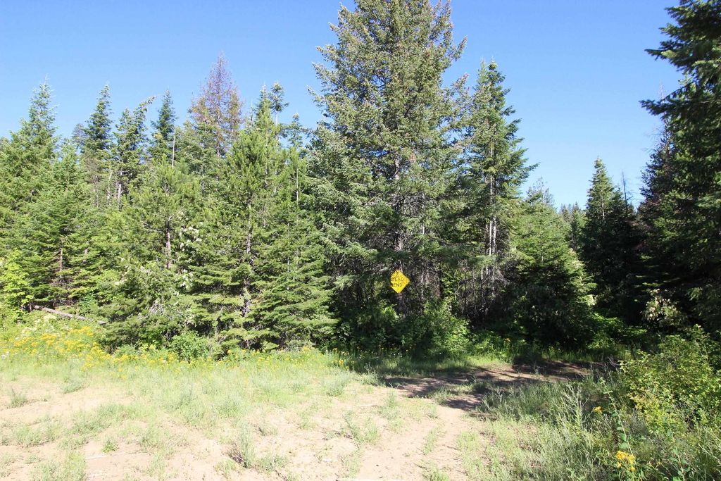 XXX Buck Creek Rd, Newport, WA 99156 photo 17