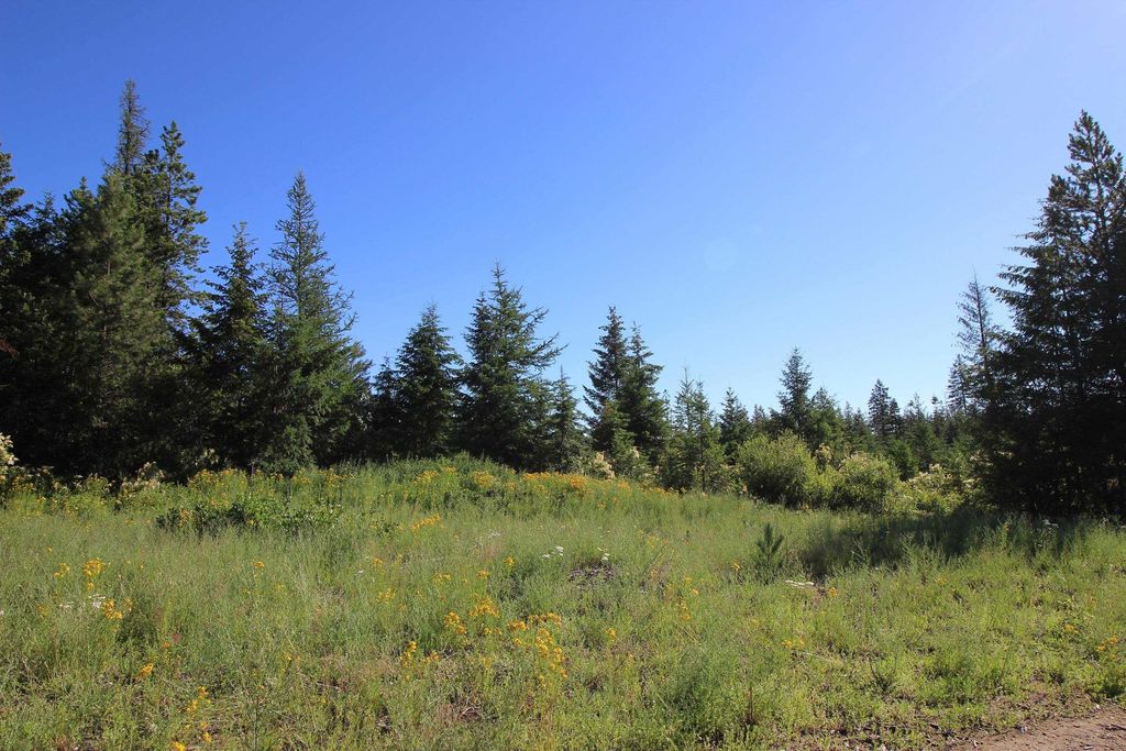 XXX Buck Creek Rd, Newport, WA 99156 photo 4