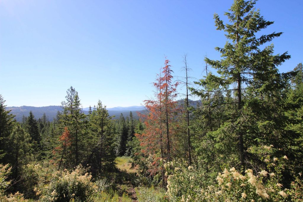 XXX Buck Creek Rd, Newport, WA 99156 photo 5