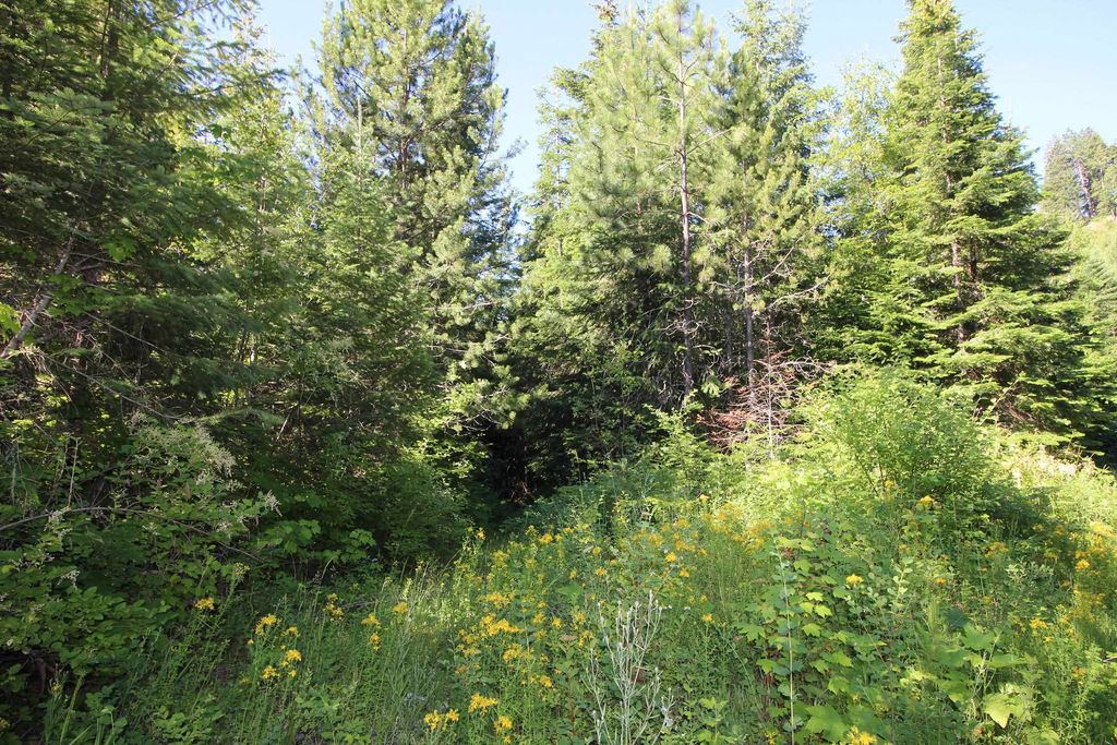 XXX Buck Creek Rd, Newport, WA 99156 photo 6