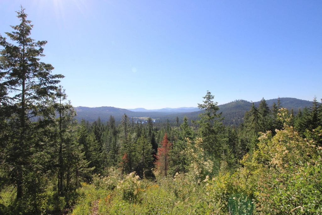 XXX Buck Creek Rd, Newport, WA 99156 photo 7