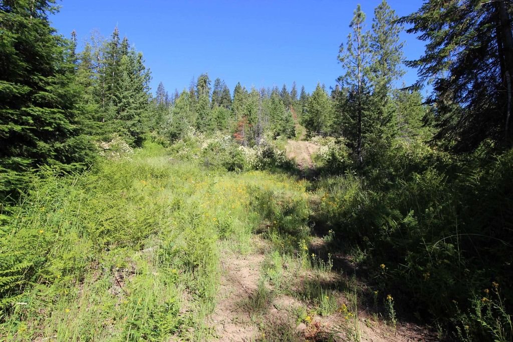 XXX Buck Creek Rd, Newport, WA 99156 photo 8