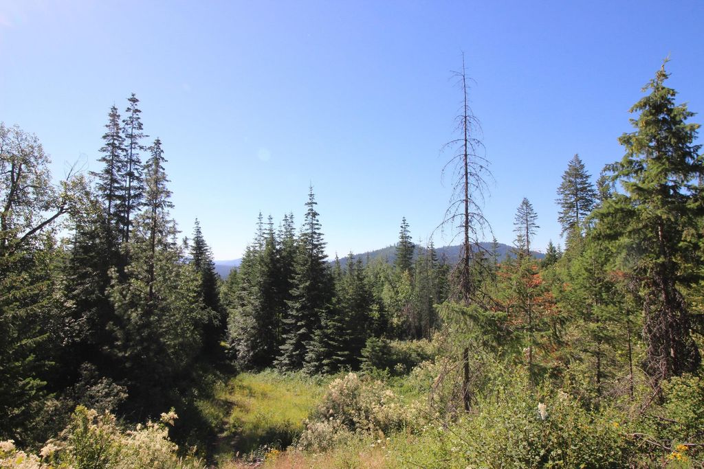 XXX Buck Creek Rd, Newport, WA 99156 photo 10