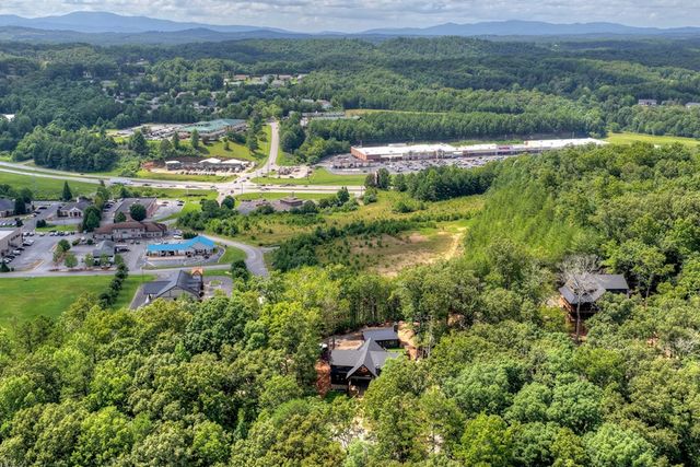 93 Silver Oaks Court, Blue Ridge, GA 30513