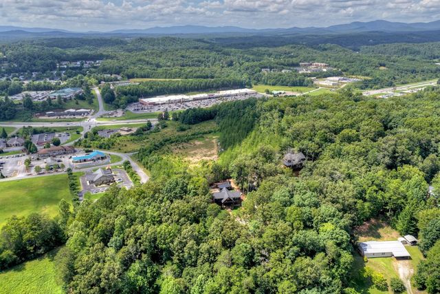 93 Silver Oaks Court, Blue Ridge, GA 30513