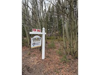 34251 Skyline Dr, Golden, CO 80403