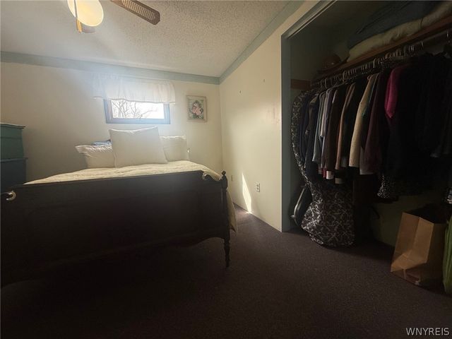 50 Maple Avenue, Hamburg, NY 14219