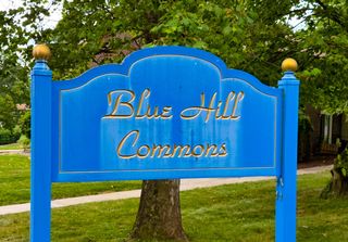 15 Blue Hill Commons, Orangeburg, NY 10962