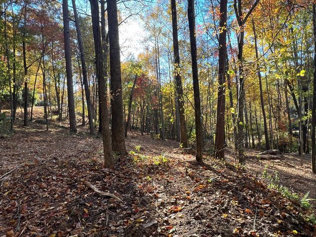 1 Bartin Ridge, Murphy, NC 28906