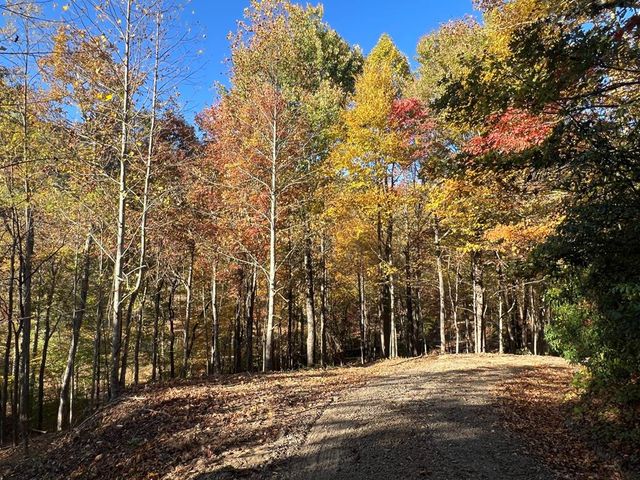 1 Bartin Ridge, Murphy, NC 28906