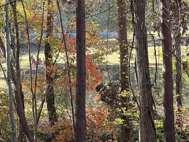 1 Bartin Ridge, Murphy, NC 28906