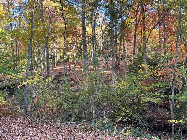 1 Bartin Ridge, Murphy, NC 28906