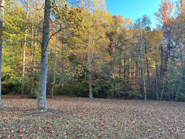 1 Bartin Ridge, Murphy, NC 28906