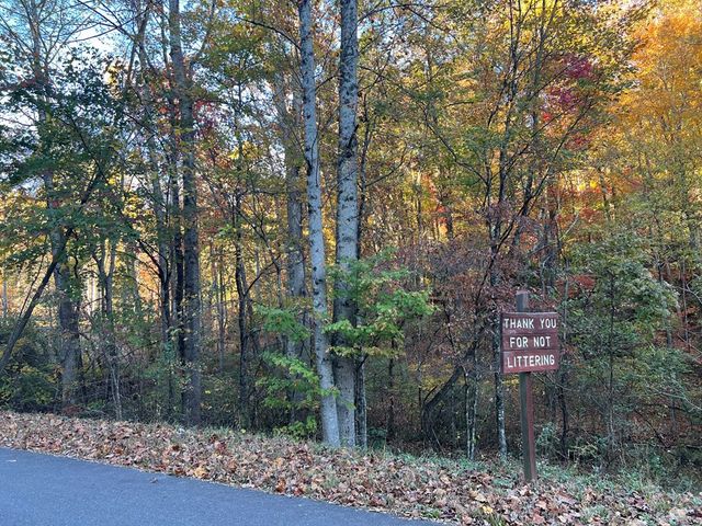 1 Bartin Ridge, Murphy, NC 28906