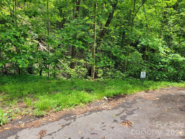 TBD Bear River Lodge Trail 123 &124, Marshall, NC 28753