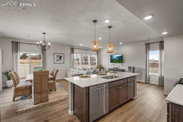 8562 Blue Feather Loop, Colorado Springs, CO 80908