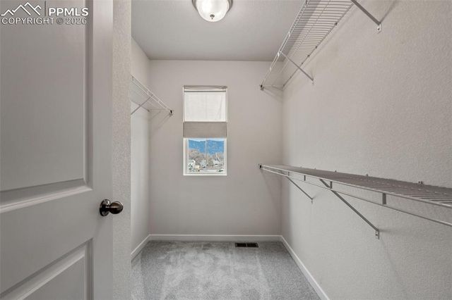 8562 Blue Feather Loop, Colorado Springs, CO 80908