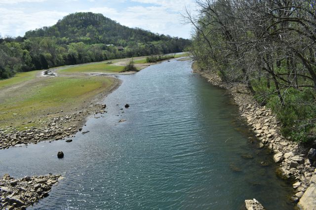 115 Harris Hollow Rd, Pleasant Shade, TN 37145