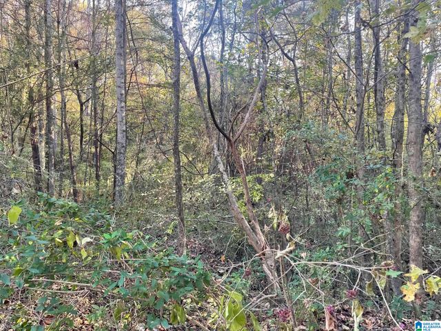 529 FOXFIRE DRIVE, Gardendale, AL 35071