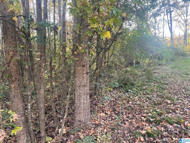 529 FOXFIRE DRIVE, Gardendale, AL 35071