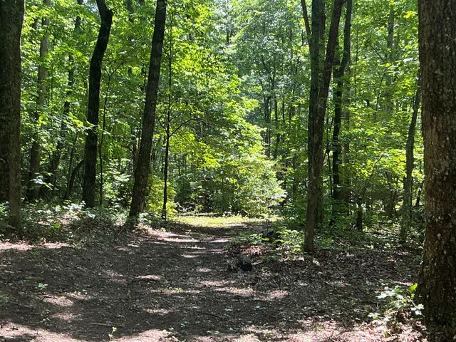 1004 Chestnut Ridge Road, Spring City, TN 37381