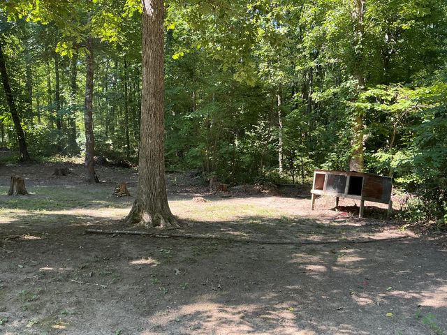 1004 Chestnut Ridge Road, Spring City, TN 37381