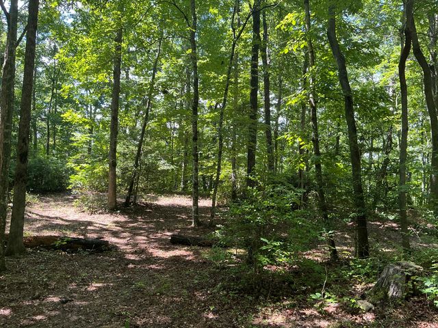 1004 Chestnut Ridge Road, Spring City, TN 37381
