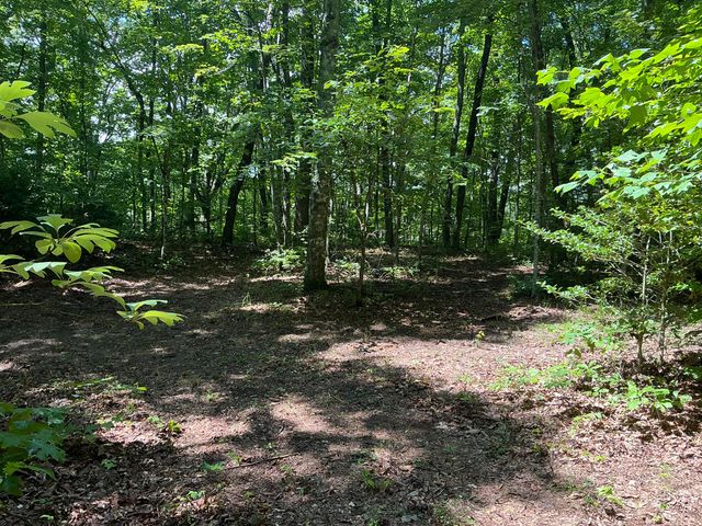 1004 Chestnut Ridge Road, Spring City, TN 37381