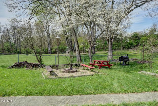 247 Cedar Point Road, Johnson City, TN 37601