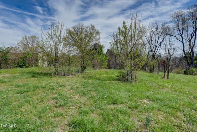 247 Cedar Point Road, Johnson City, TN 37601