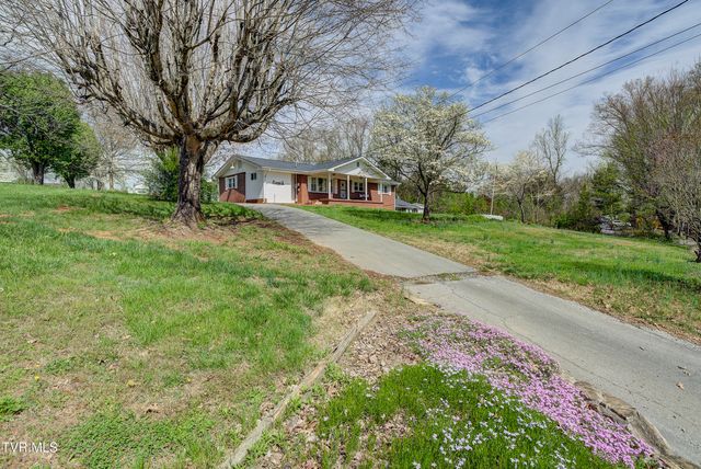 247 Cedar Point Road, Johnson City, TN 37601