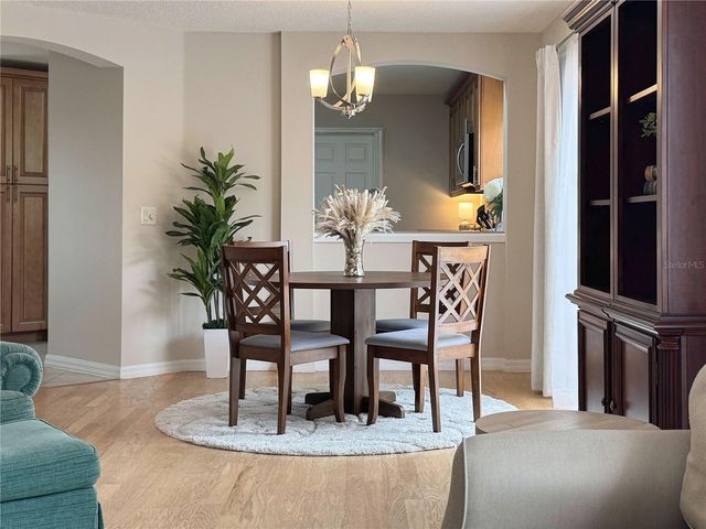 884 RADCLIFE BEREA PLACE, The Villages, FL 32162