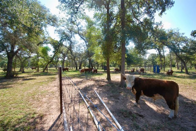 3033 County Road 18, Hallettsville, TX 77964