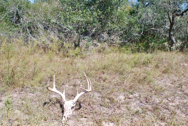 3033 County Road 18, Hallettsville, TX 77964