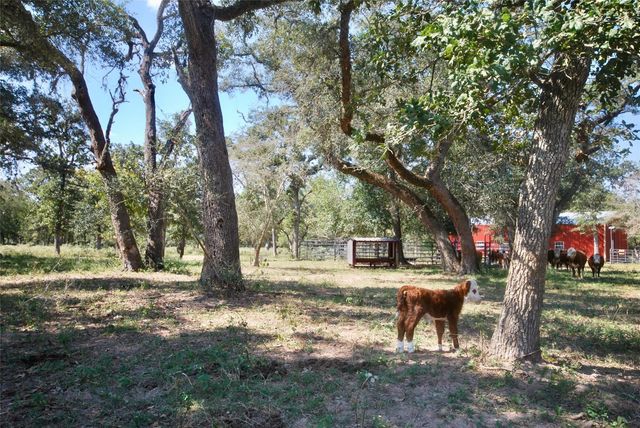 3033 County Road 18, Hallettsville, TX 77964