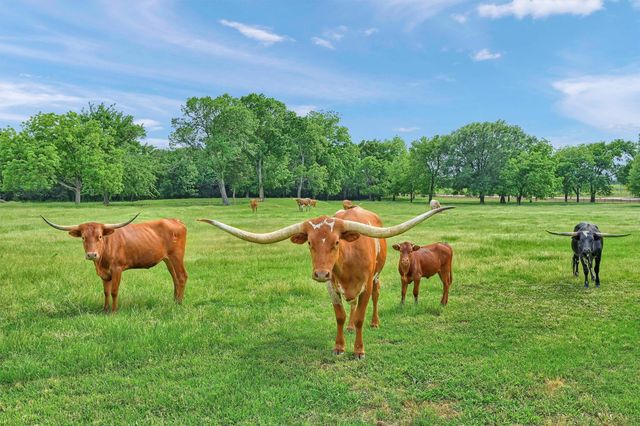 4034 Farm To Market 2645, Savoy, TX 75479