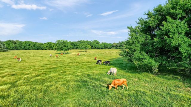 4034 Farm To Market 2645, Savoy, TX 75479