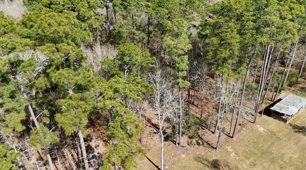 0 Cheatham Road, Houston, TX 77336