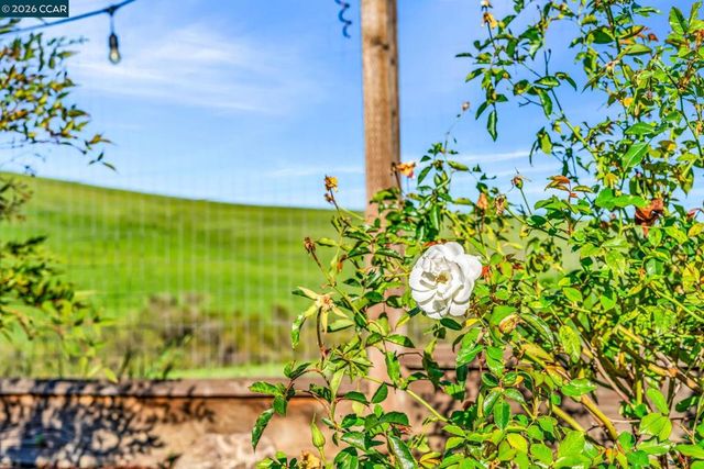 116 116 Spalding Ct, San Ramon, CA 94582