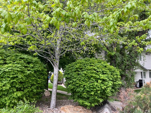 1672 S CANYONWOODS, Ogden, UT 84404