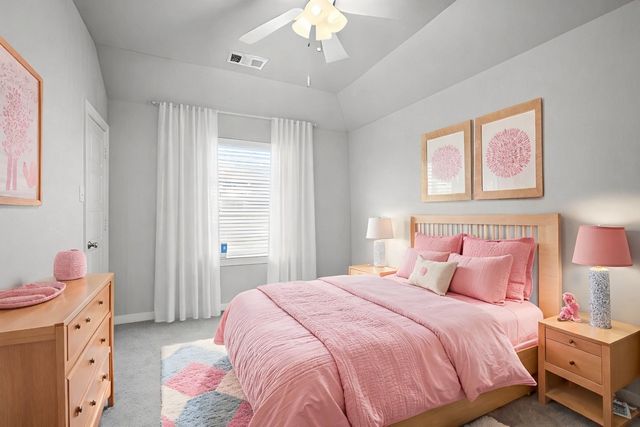 1401 Wood Duck Drive, Little Elm, TX 75068