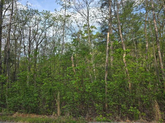 Lot 10 Kennedys Court, Blairsville, GA 30512