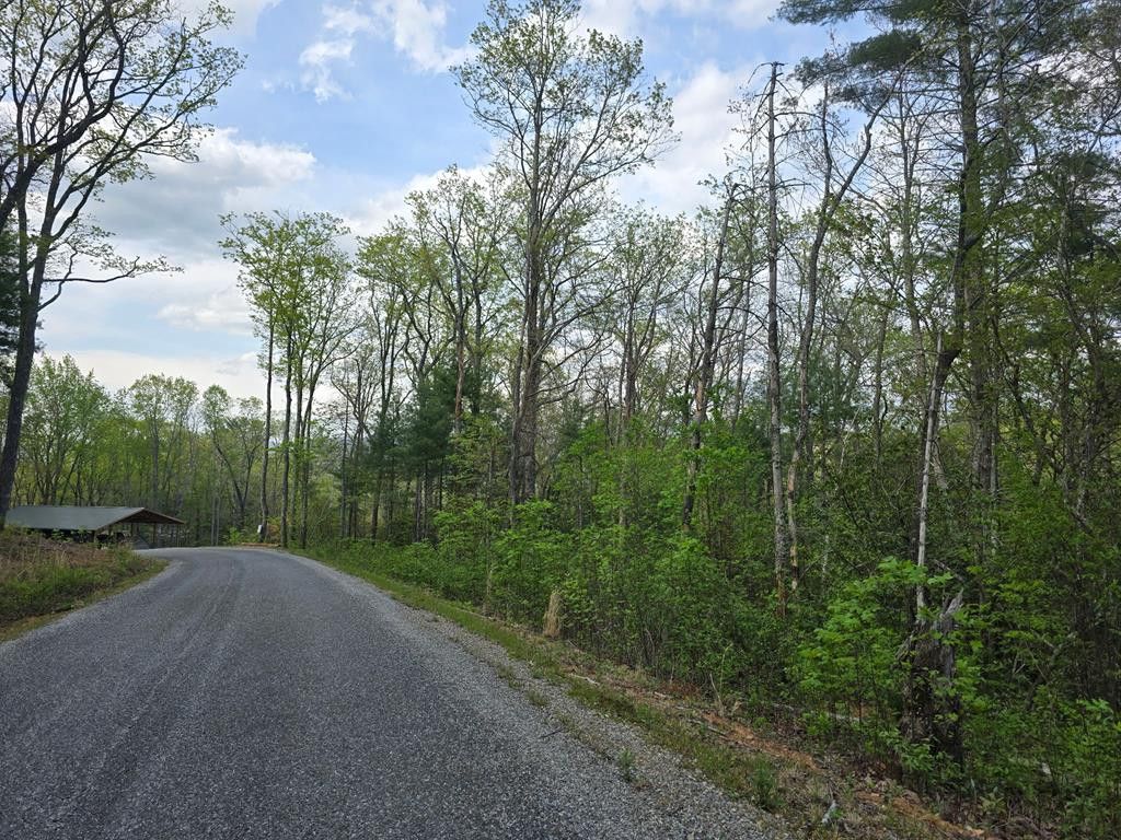 Lot 10 Kennedys Court, Blairsville, GA 30512