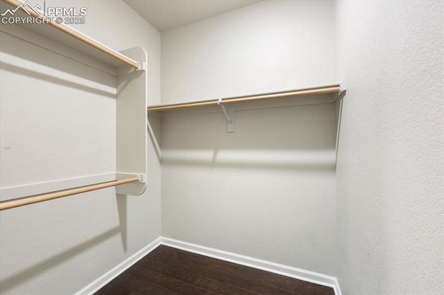 13364 Positano Point, Colorado Springs, CO 80921